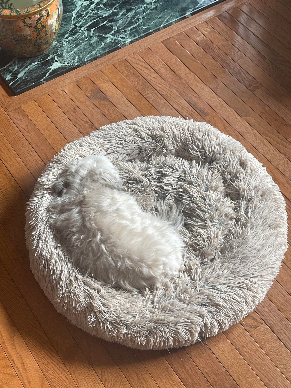 Perfect Camouflage (25 pics)