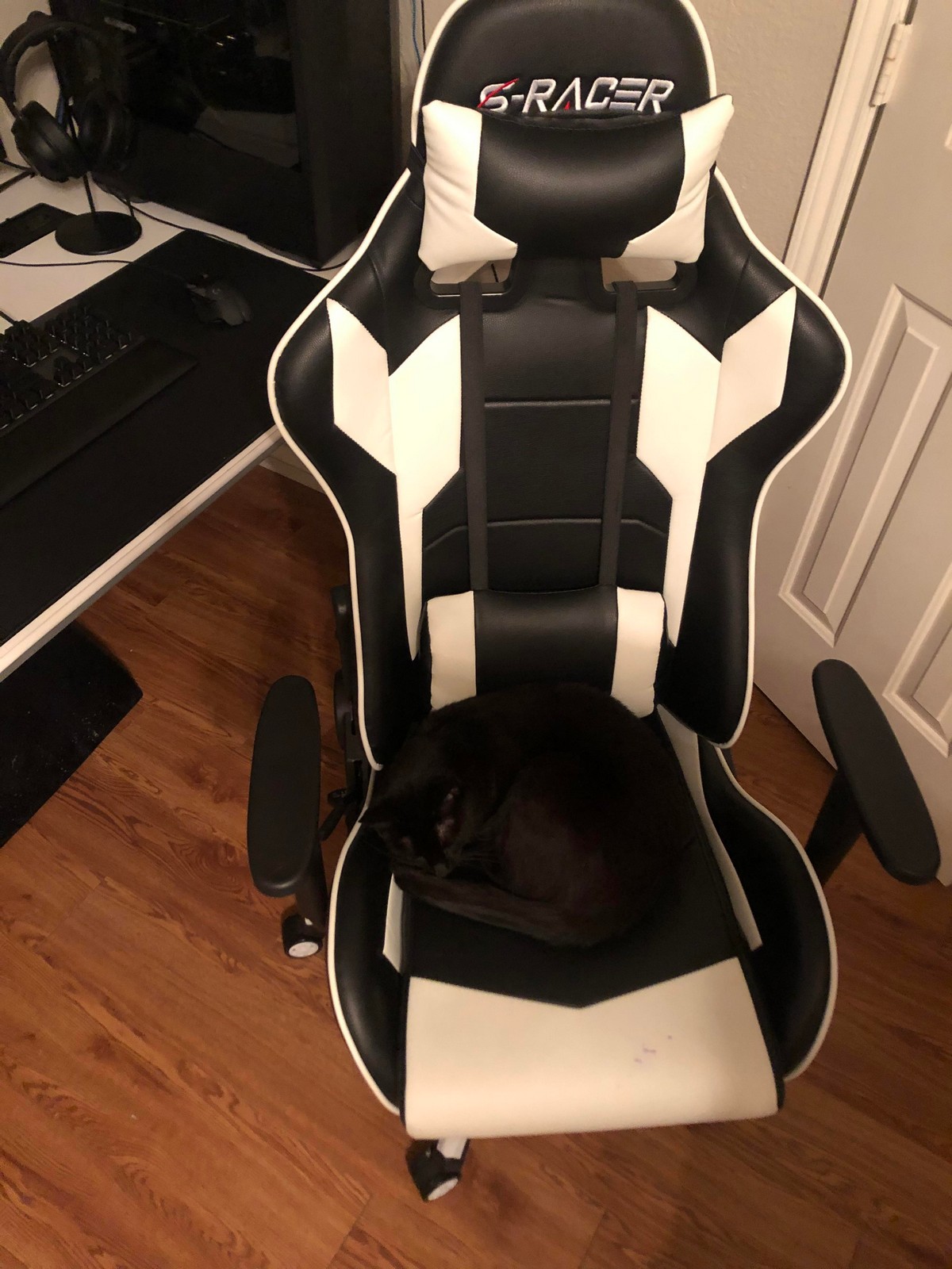 Perfect Camouflage (25 pics)