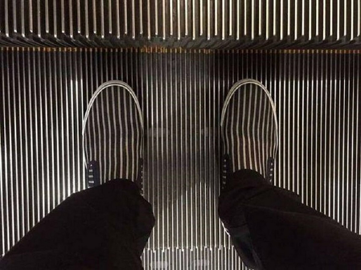 Perfect Camouflage (25 pics)