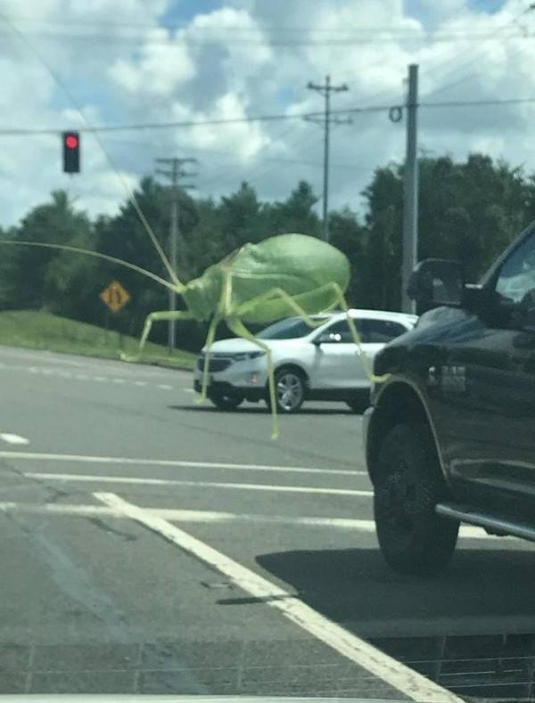 Optical Illusions (17 pics)