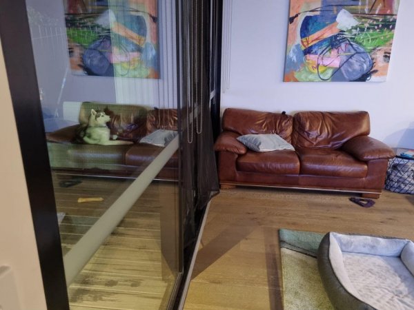 Optical Illusions (17 pics)