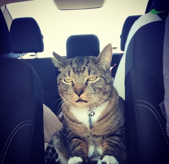 Daily Pictures. Part 1 (64 pics)