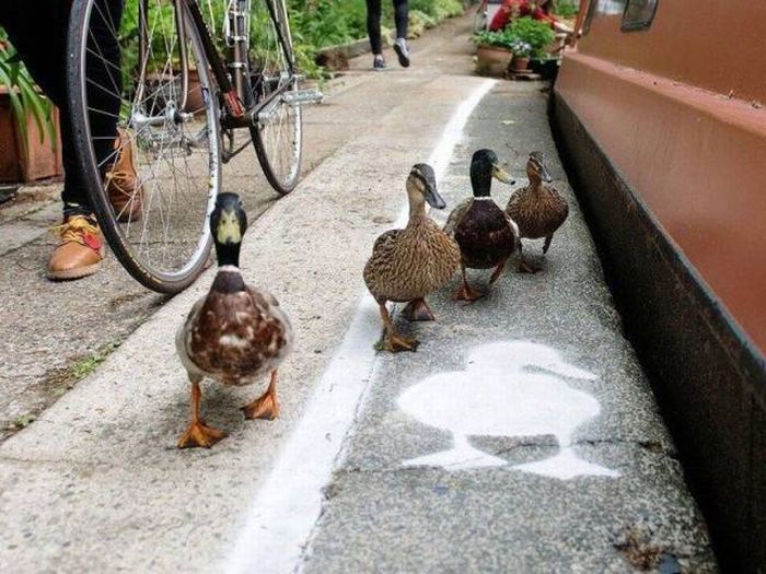 Daily Pictures. Part 1 (64 pics)