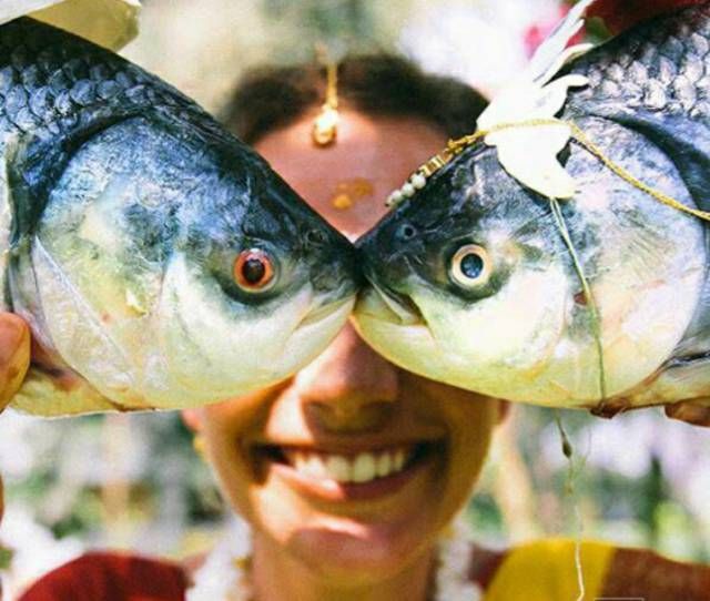 Daily Pictures. Part 1 (64 pics)