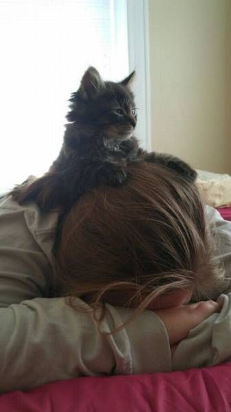 Daily Pictures. Part 1 (64 pics)