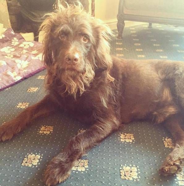 Daily Pictures. Part 1 (64 pics)