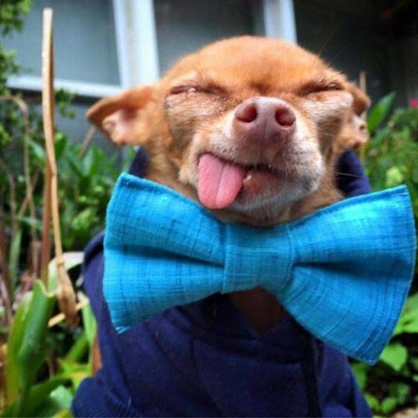 Daily Pictures. Part 1 (64 pics)