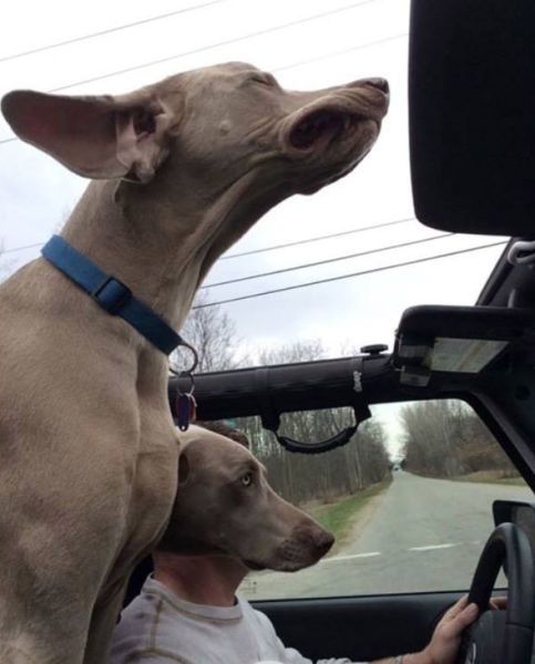 Daily Pictures. Part 1 (64 pics)