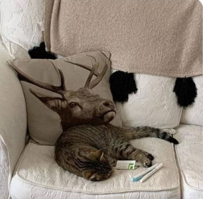 Daily Pictures. Part 1 (64 pics)