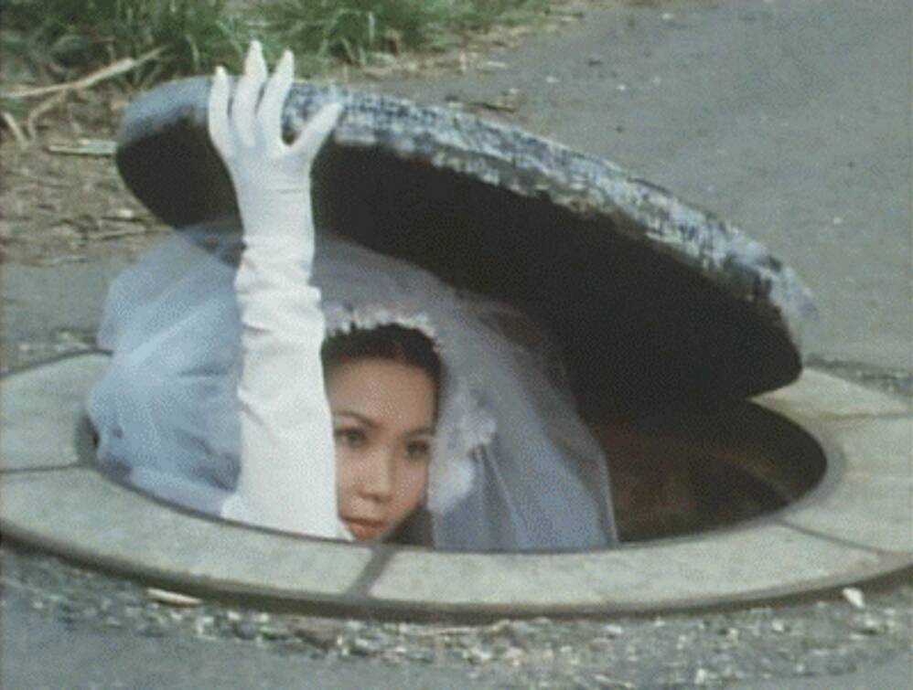 Daily Pictures. Part 1 (64 pics)