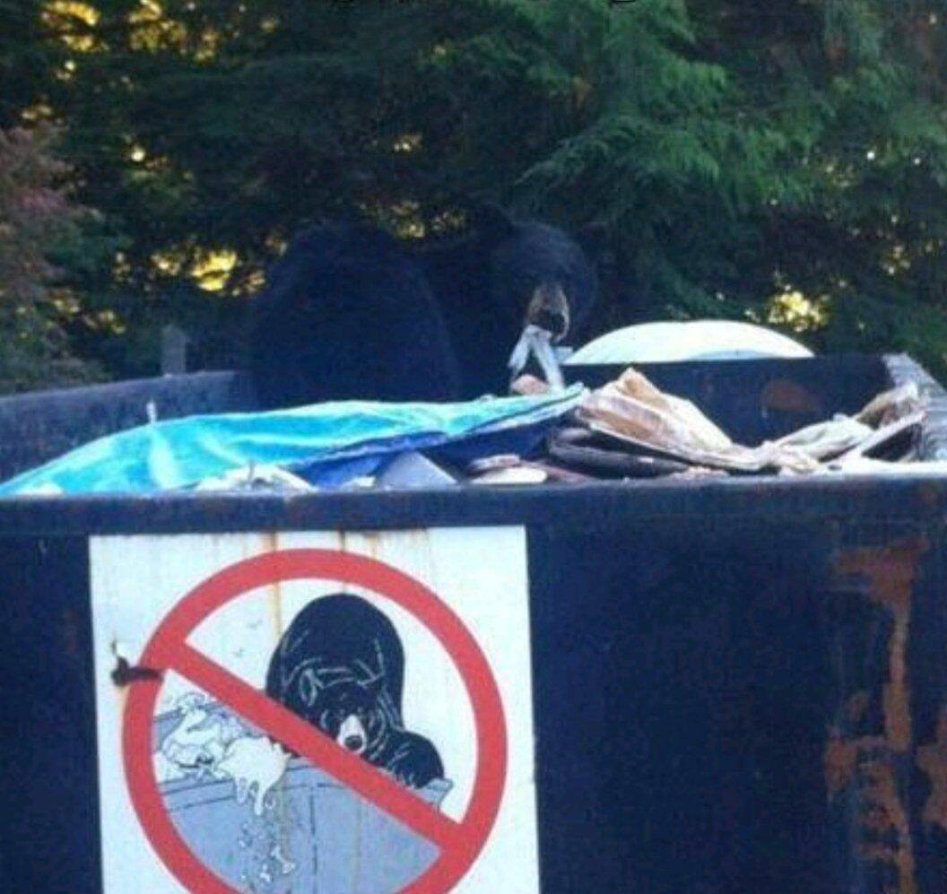 Daily Pictures. Part 1 (64 pics)