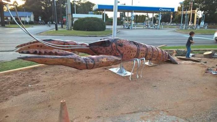 Daily Pictures. Part 2 (63 pics)