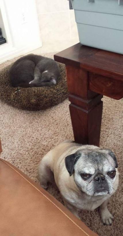 Daily Pictures. Part 2 (63 pics)