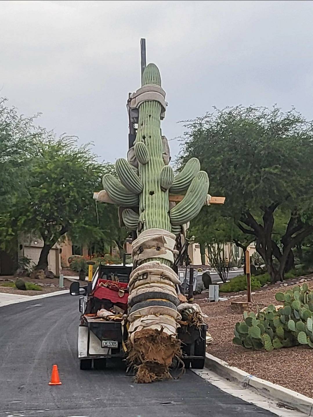 Daily Pictures. Part 1 (64 pics)