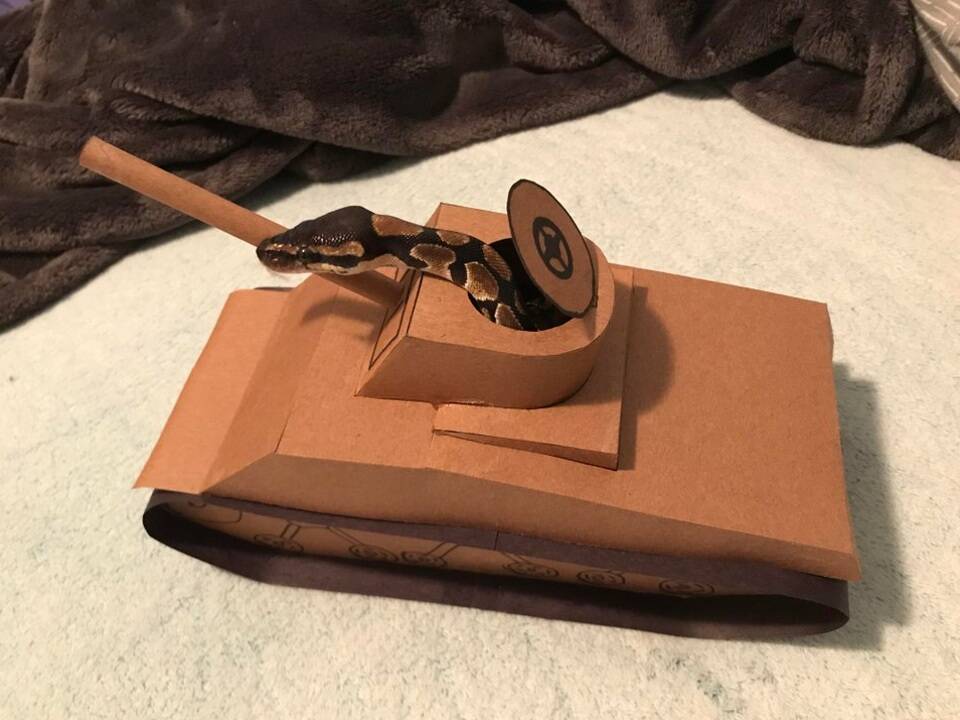 Daily Pictures. Part 1 (64 pics)