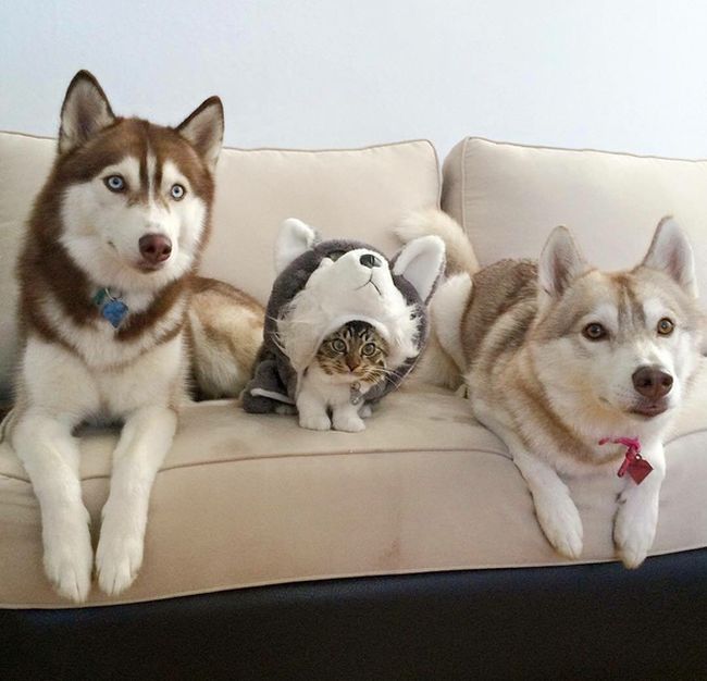 Daily Pictures. Part 2 (63 pics)