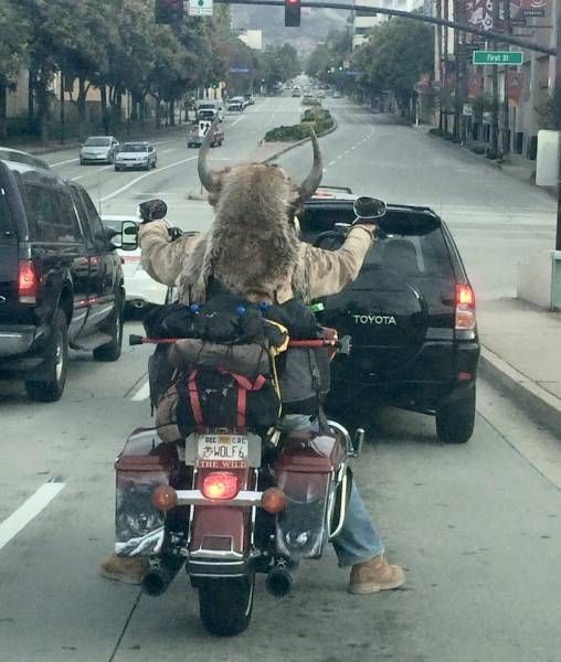 Daily Pictures. Part 2 (63 pics)