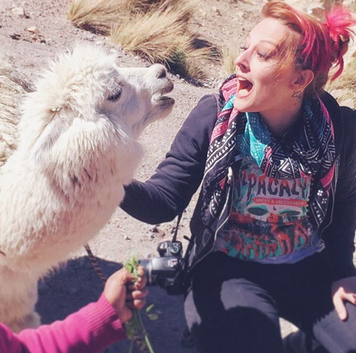 Daily Pictures. Part 2 (63 pics)