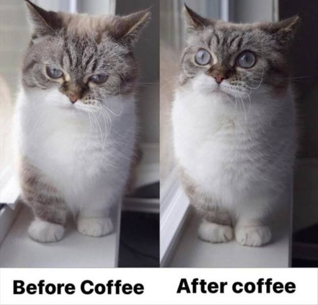 Daily Pictures. Part 2 (63 pics)