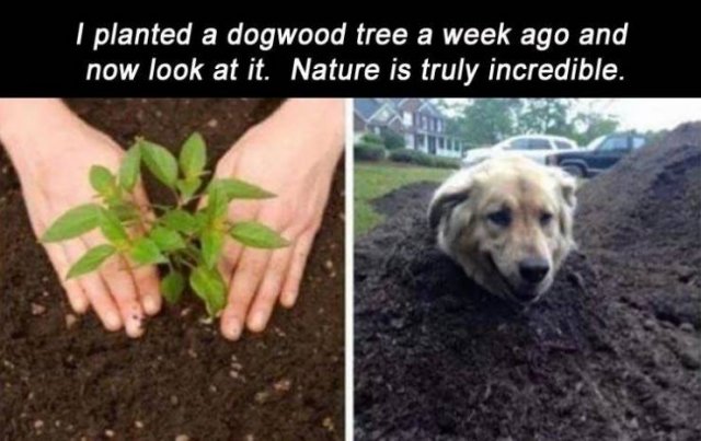 Daily Pictures. Part 2 (63 pics)