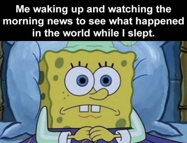 Daily Pictures. Part 2 (63 pics)