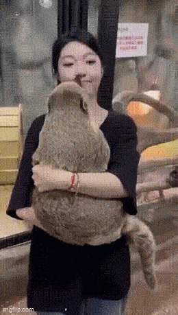 Acid GIFs, December 22 (25 gifs)