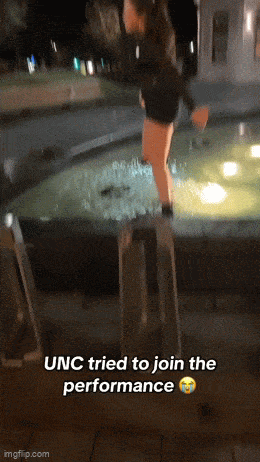 Acid GIFs, December 22 (25 gifs)