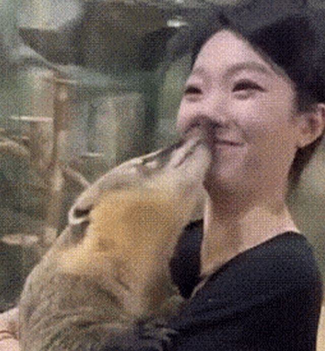 Acid GIFs, December 22 (25 gifs)