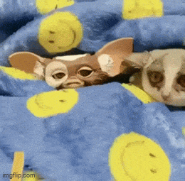 Acid GIFs, December 22 (25 gifs)