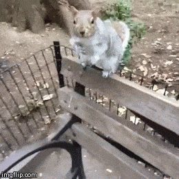 Acid GIFs, December 22 (25 gifs)