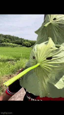 Acid GIFs, December 22 (25 gifs)