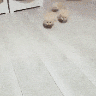 Acid GIFs, December 22 (25 gifs)