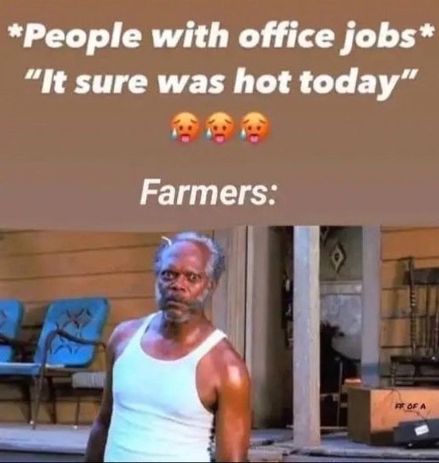 Random Jokes (22 pics)