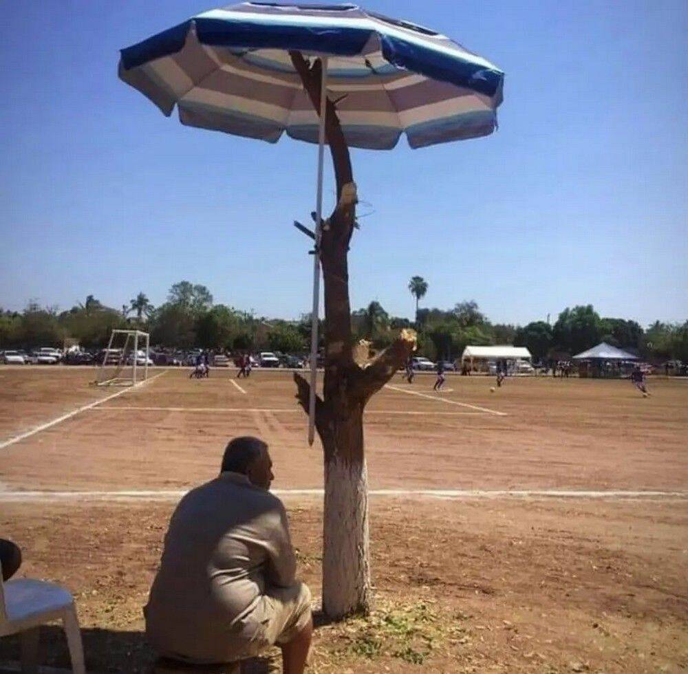 Daily Pictures. Part 1 (65 pics)