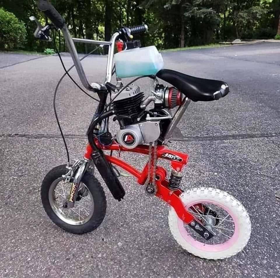 Daily Pictures. Part 1 (65 pics)