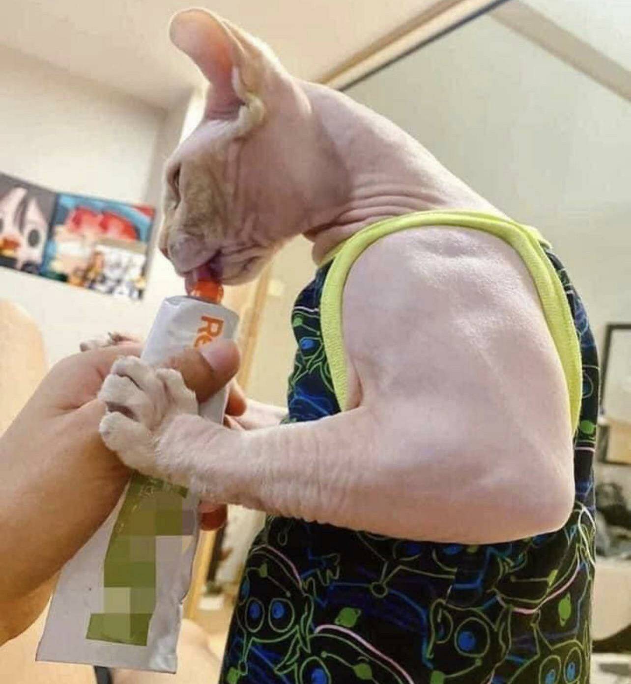 Daily Pictures. Part 1 (65 pics)