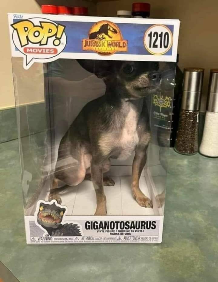 Daily Pictures. Part 1 (65 pics)