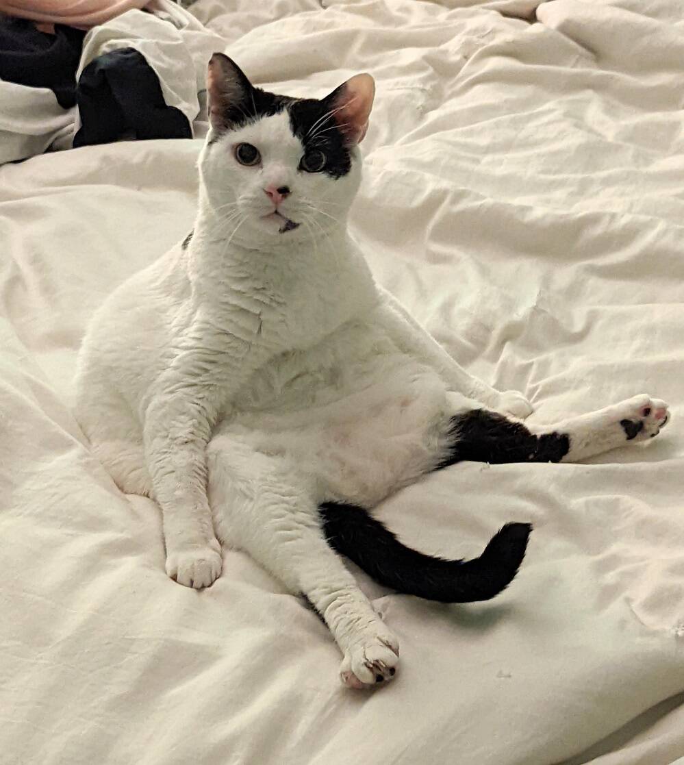 Daily Pictures. Part 1 (65 pics)