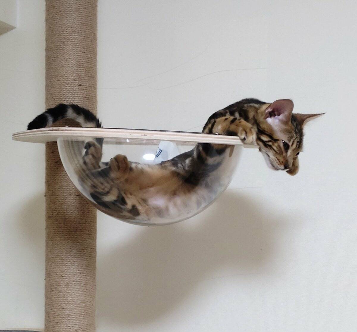 Daily Pictures. Part 2 (64 pics)