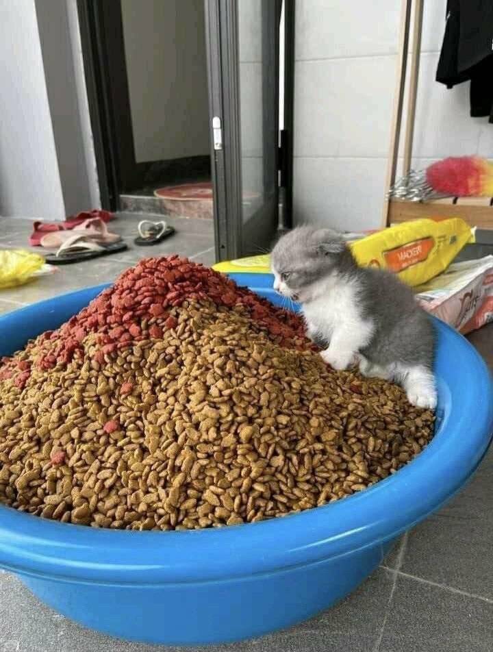 Daily Pictures. Part 2 (64 pics)