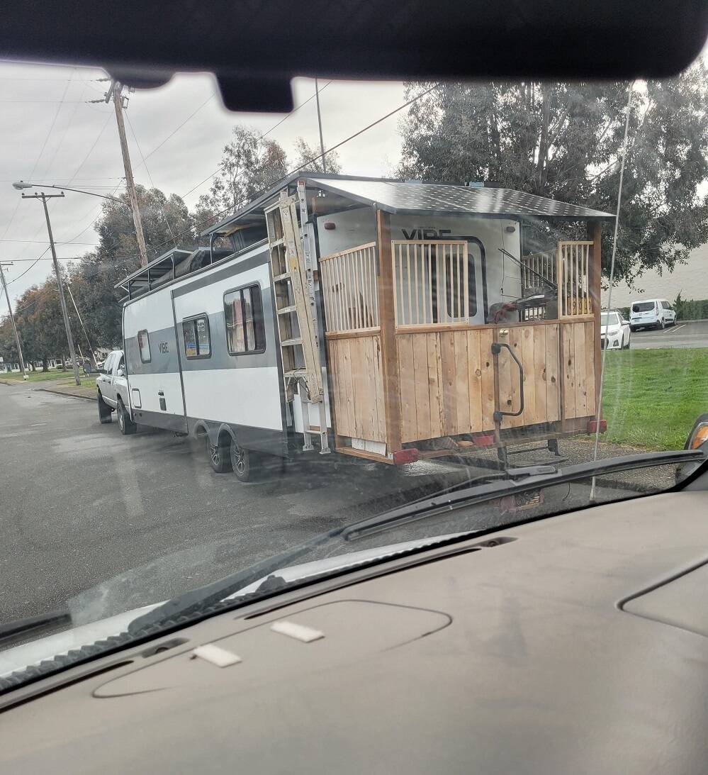 Daily Pictures. Part 1 (65 pics)