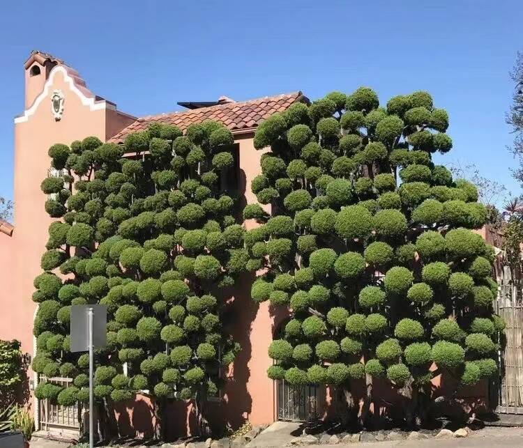 Daily Pictures. Part 1 (65 pics)