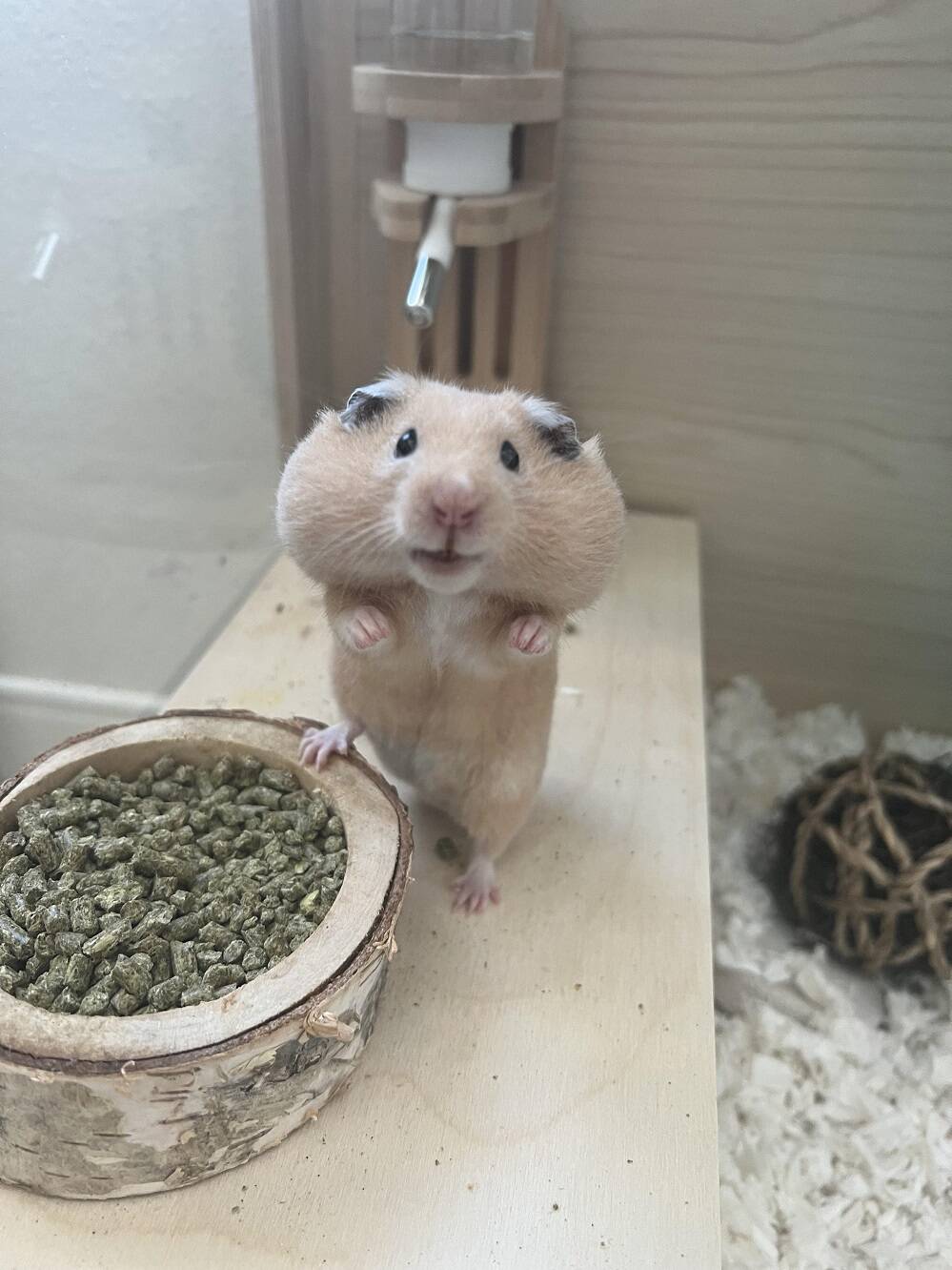 Daily Pictures. Part 2 (64 pics)