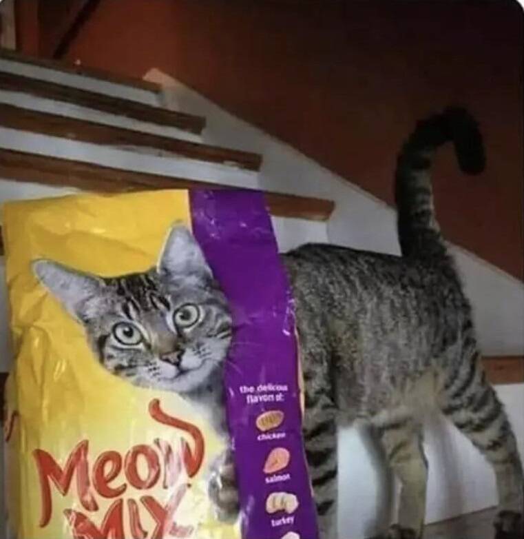 Daily Pictures. Part 2 (64 pics)