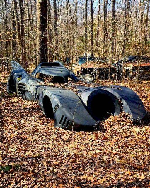 Daily Pictures. Part 2 (64 pics)