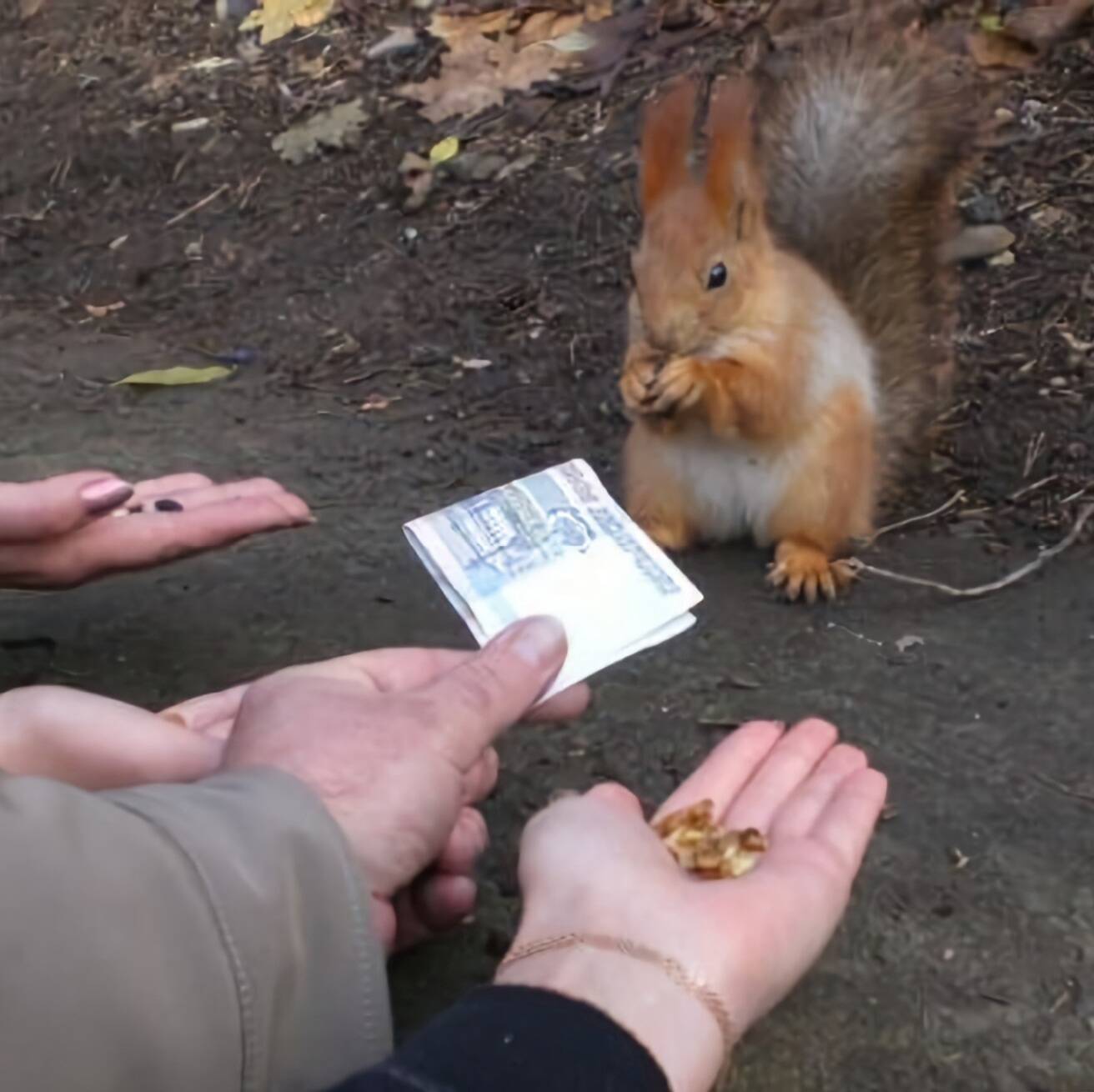 Daily Pictures. Part 2 (64 pics)