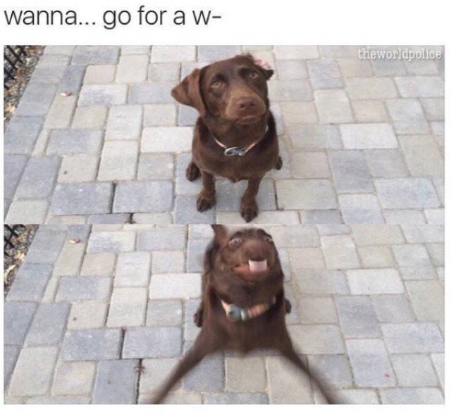 Daily Pictures. Part 2 (64 pics)