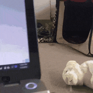 Acid GIFs, December 23 (25 gifs)