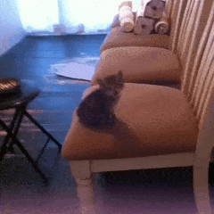 Acid GIFs, December 23 (25 gifs)