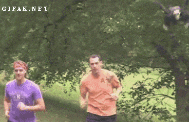 Acid GIFs, December 23 (25 gifs)